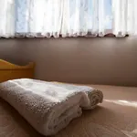 Marica * 瓦比尼科